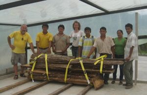 Milling Lumber in Tena, Ecuador