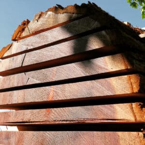 Slabs from Deadwood Revival